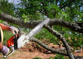 Best Lawn Irrigation Installation and Maintenance  in Hope, IN